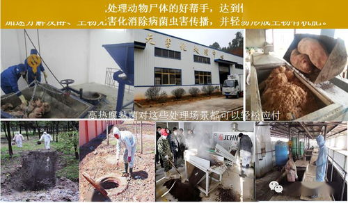 高效生态农业新助力 高温腐熟菌与现代化粪污处理技术解析