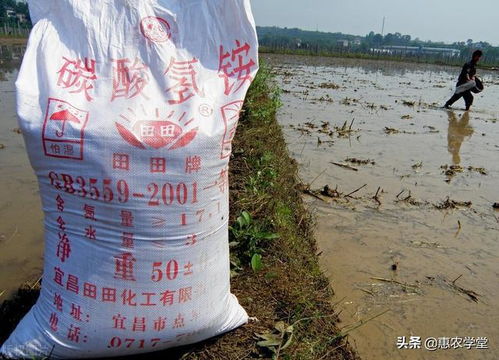 化肥迷局 每吨行变动因与未来走势分析（2022版