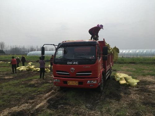 固始三高有机肥厂 稳产保供，全力服务春耕生产